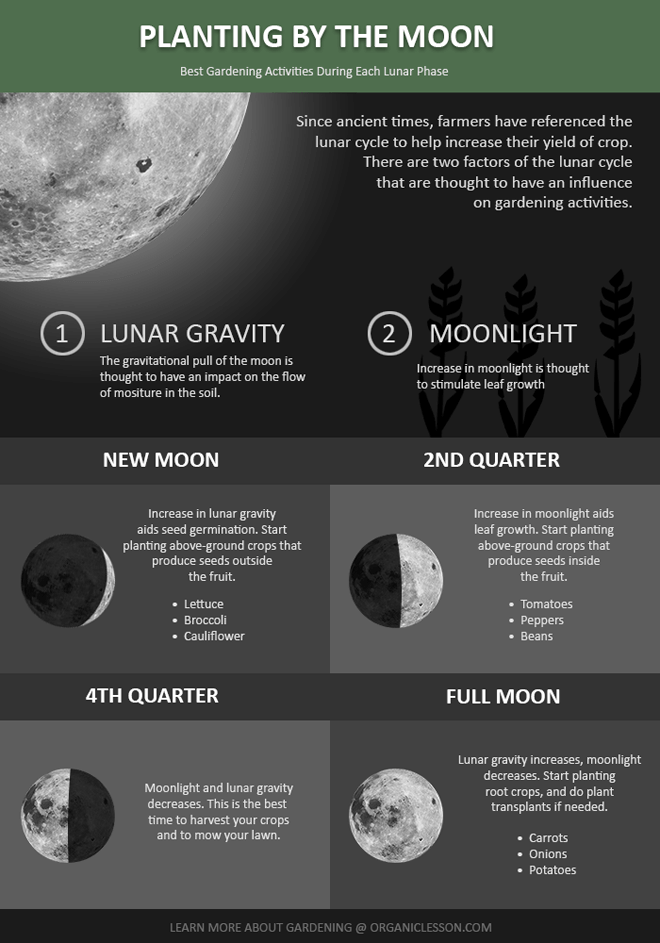 About Planting By The Moon